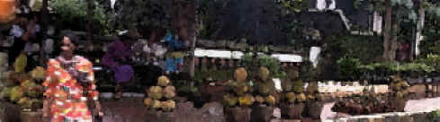 Durian Market Batik.jpg (116435 bytes)