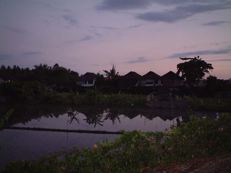 DSCF0378