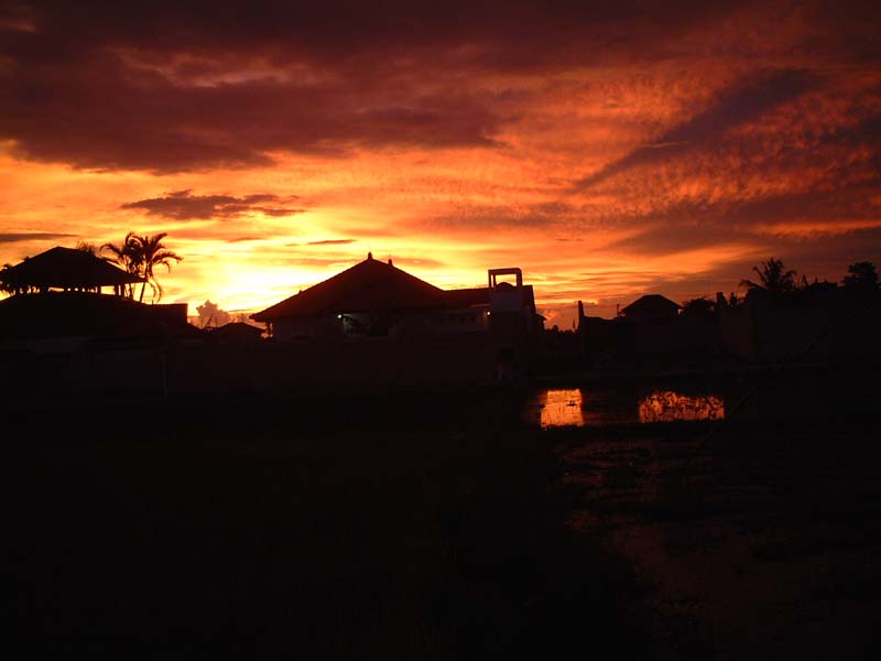DSCF0607