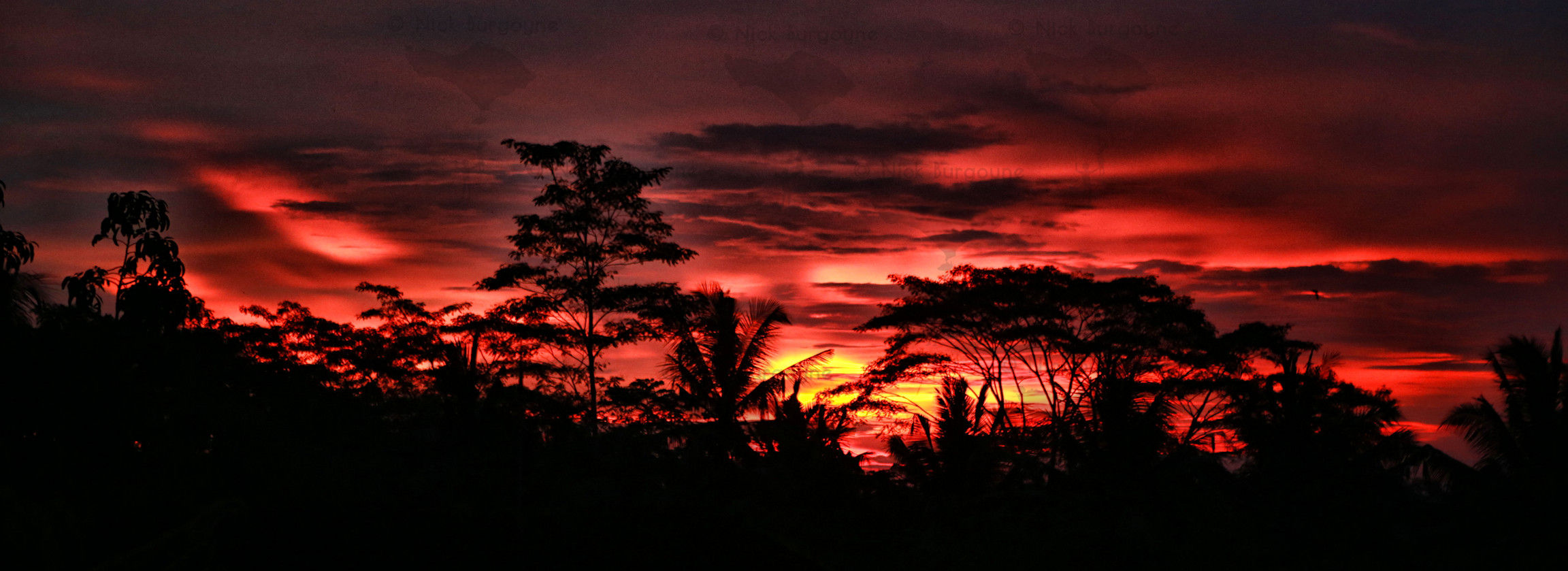 	Sky On Fire Sunset - Marga	 