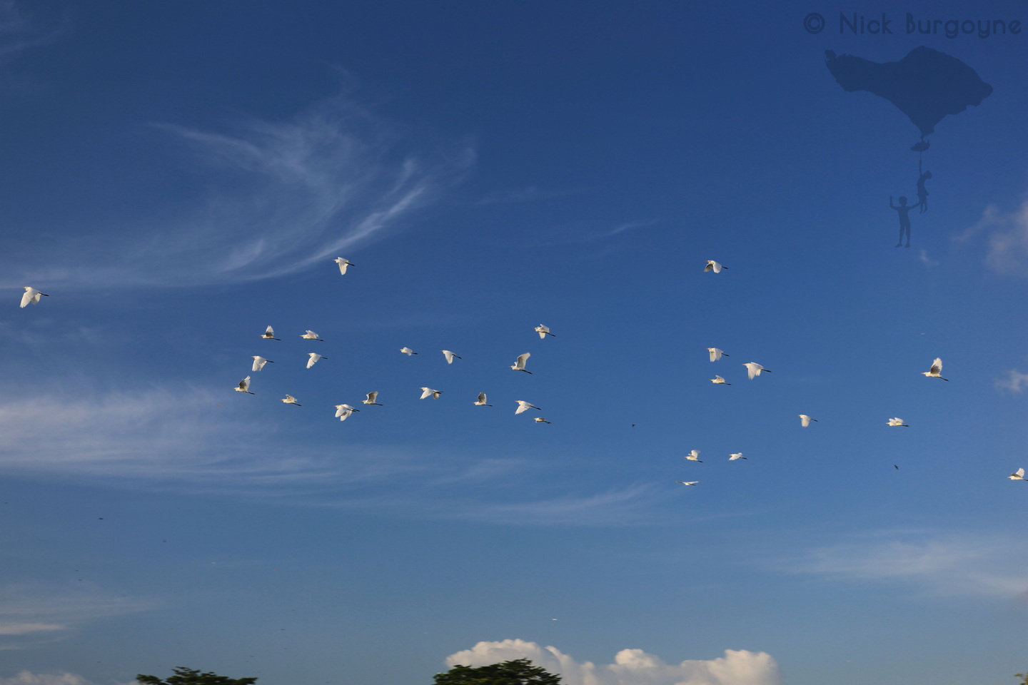 	A Flock of Egrets, Marga 	 