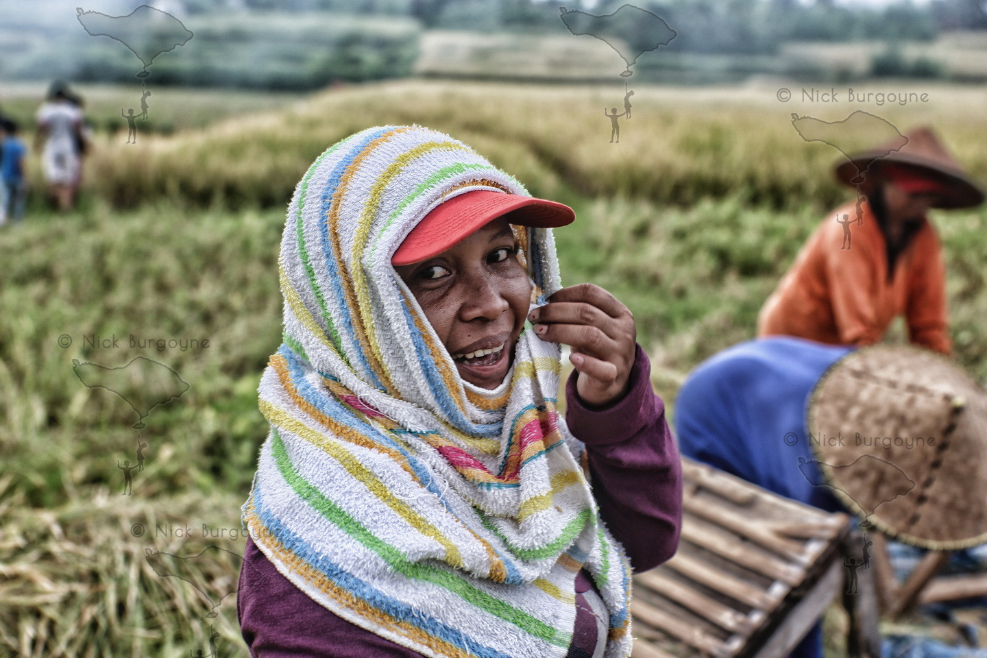 Rice Harvesting Lady, Marga 