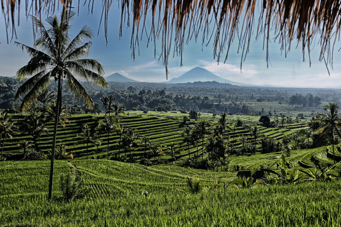 	Mt. Agung View With Rice Terraces, Jatiluwih	 